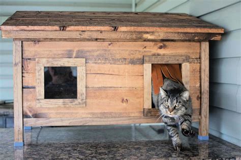 using metal utility building as a cat house|diy outdoor cat house.